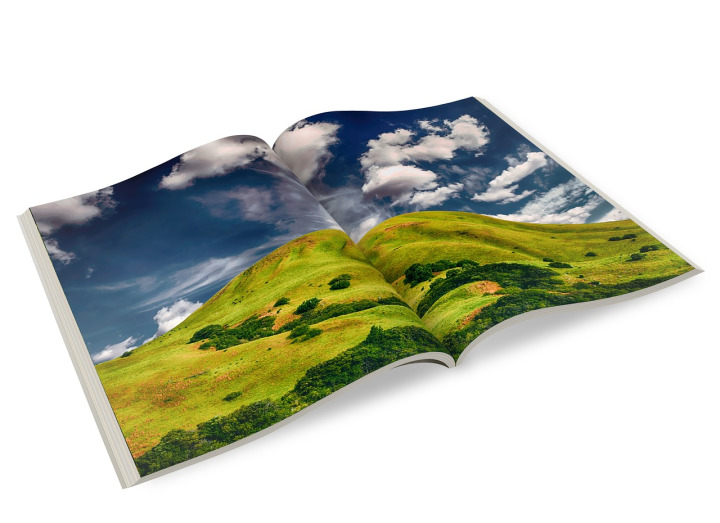 book cover design
